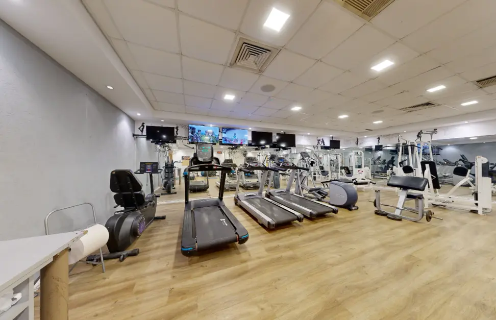 יחידת רויאל